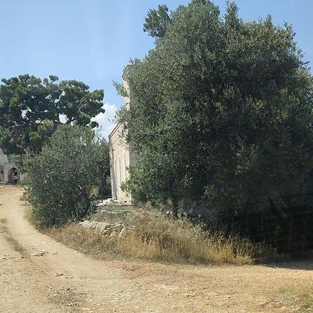 La Guendalina Masseria E Casa Particular Bed and Breakfast Monopoli Exterior foto