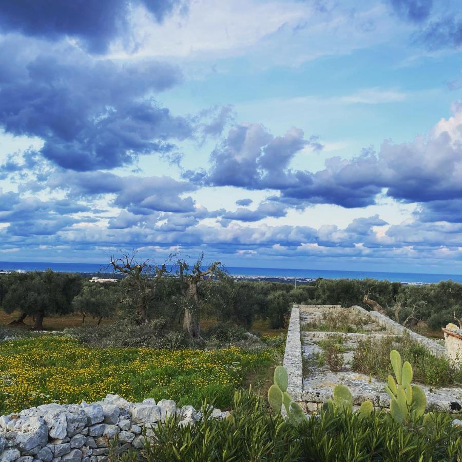 La Guendalina Masseria E Casa Particular Bed and Breakfast Monopoli Exterior foto